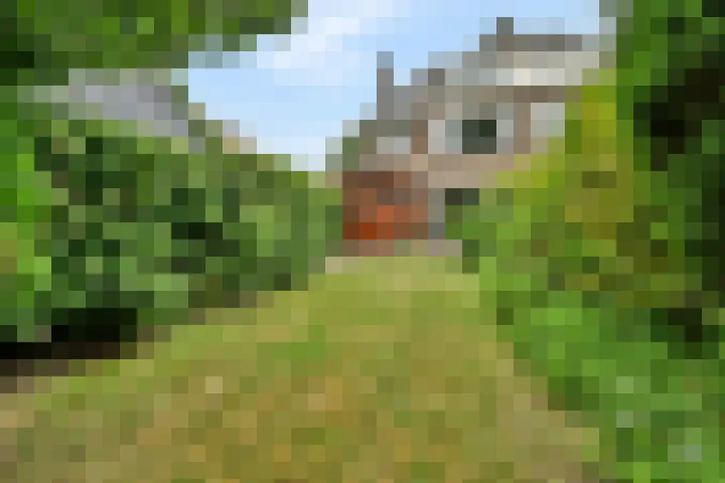 Hoflaan 8 Wassenaar thumbnail 12