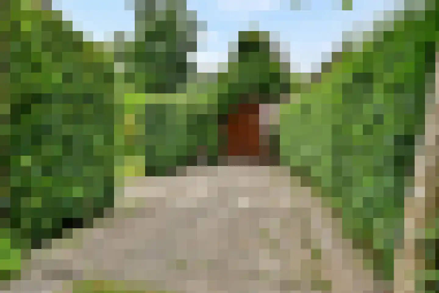 Hoflaan 8 Wassenaar thumbnail 13