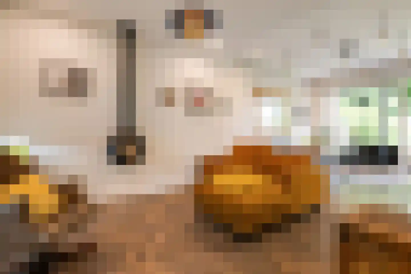 Hoflaan 90 Rotterdam thumbnail 7