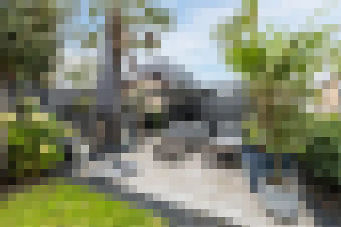 Hofland 118 Mijdrecht thumbnail 5