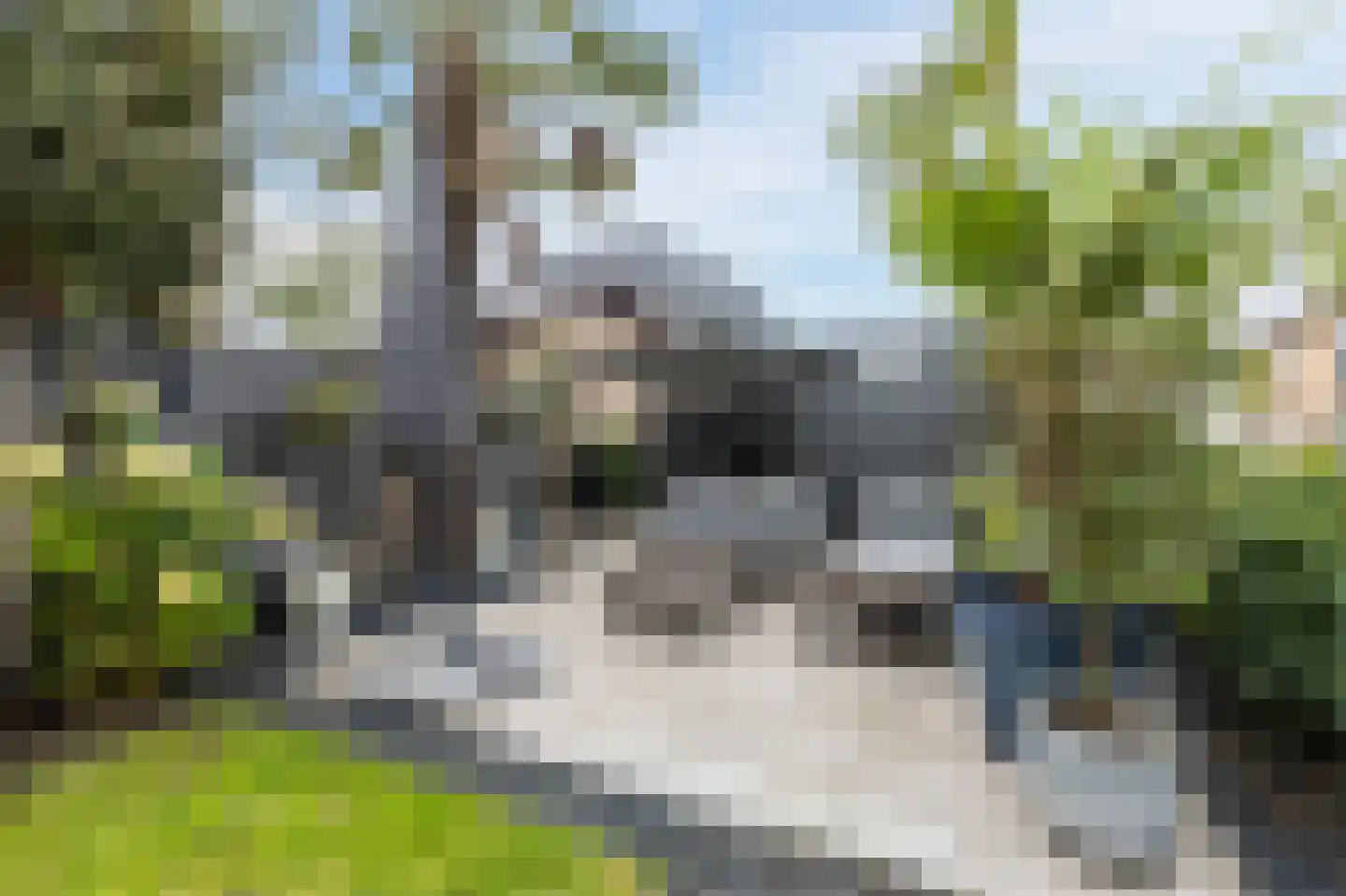 Hofland 118 Mijdrecht thumbnail 6