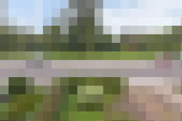 Hofland 132 Mijdrecht thumbnail 13
