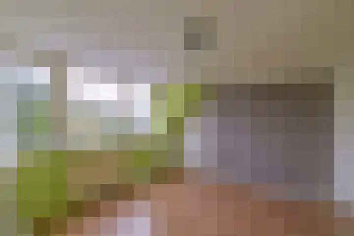 Hofland 132 Mijdrecht thumbnail 14
