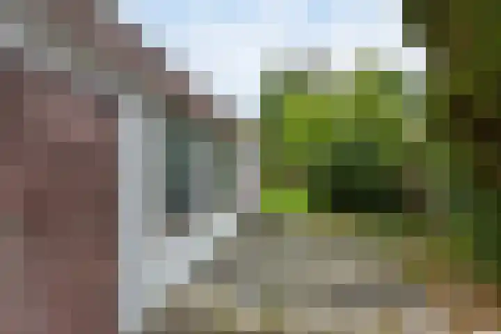 Hofland 132 Mijdrecht thumbnail 18