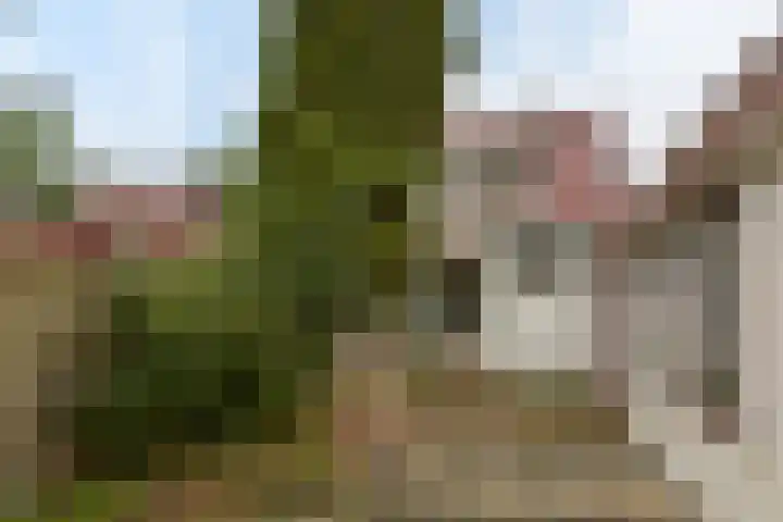 Hofland 132 Mijdrecht thumbnail 19