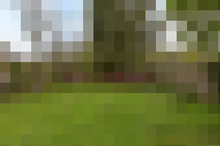 Hofland 132 Mijdrecht thumbnail 20