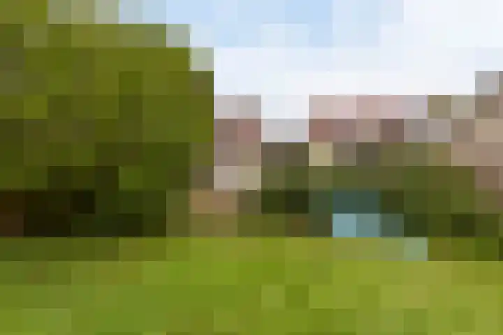 Hofland 132 Mijdrecht thumbnail 21