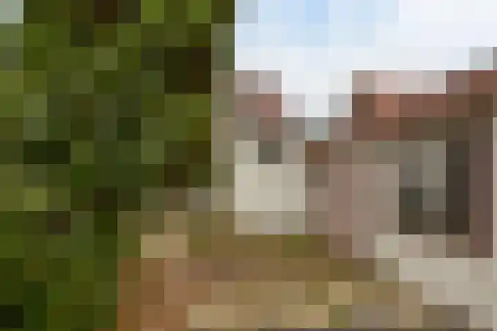 Hofland 132 Mijdrecht thumbnail 22