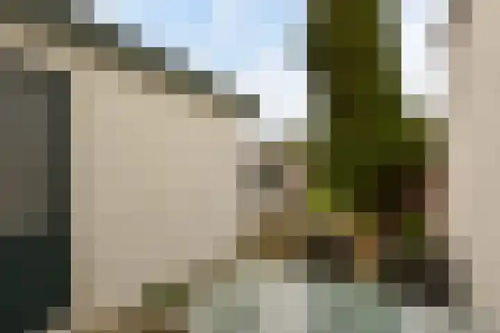 Hofland 132 Mijdrecht thumbnail 23