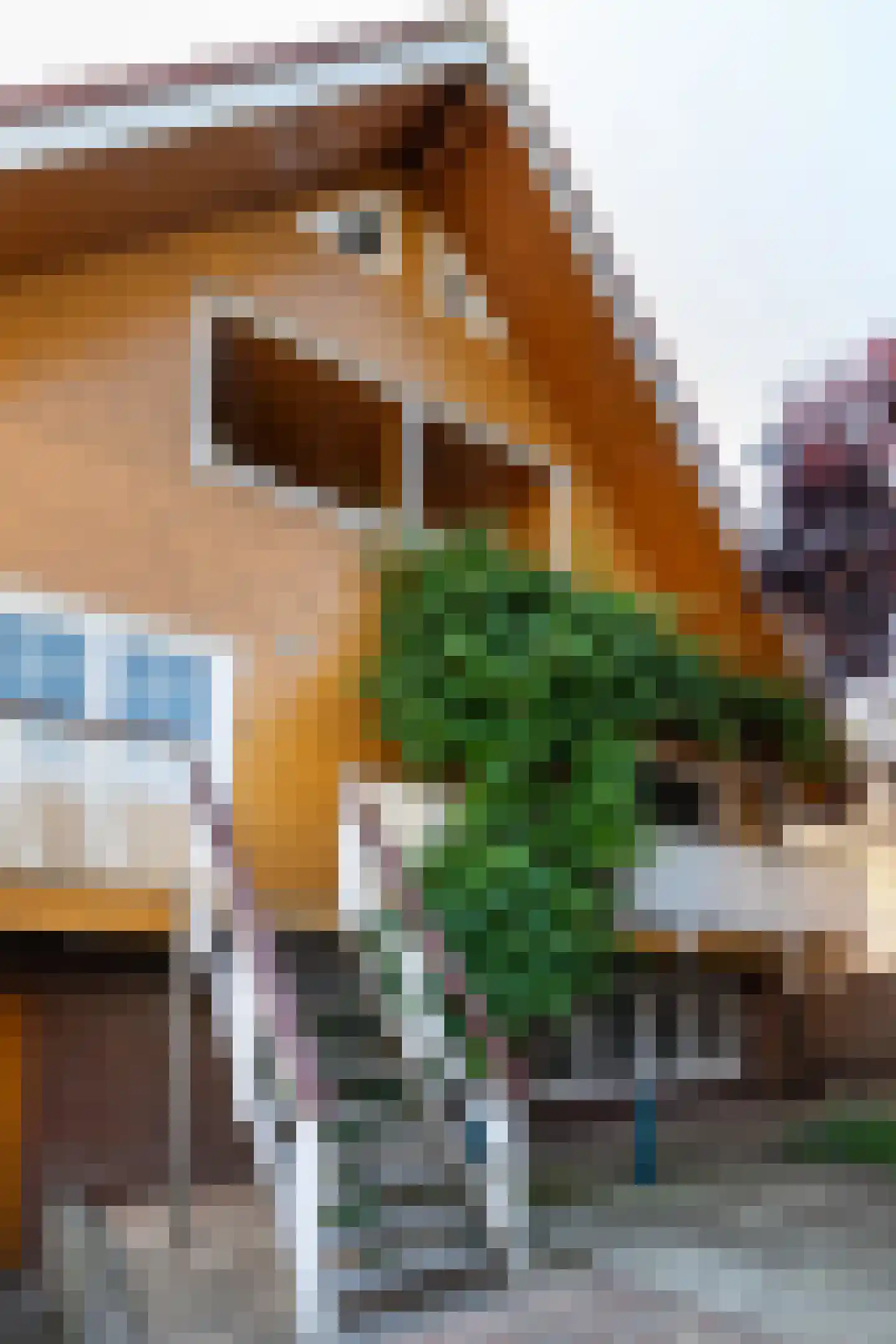Hofland 22 Mijdrecht thumbnail 5