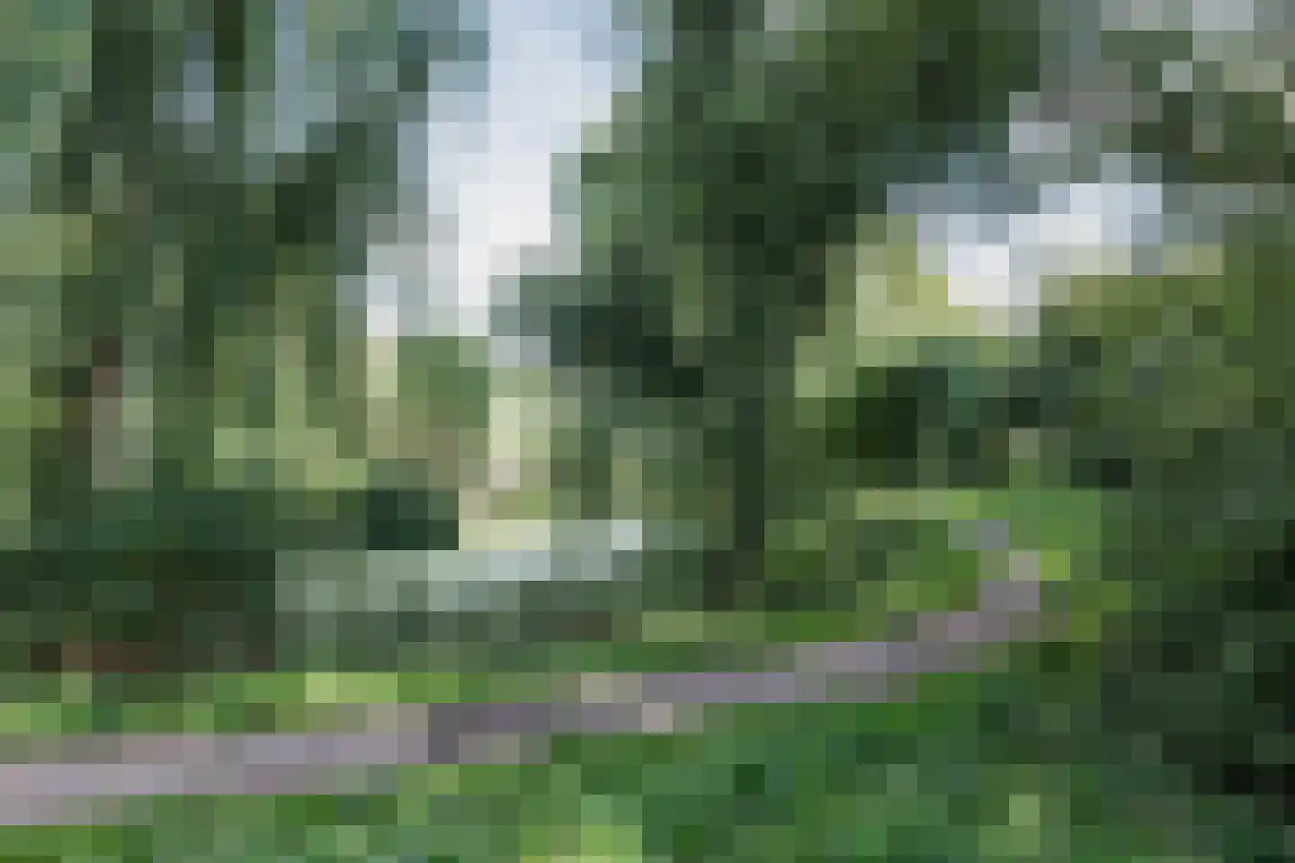 Hofland 51 Mijdrecht thumbnail 56