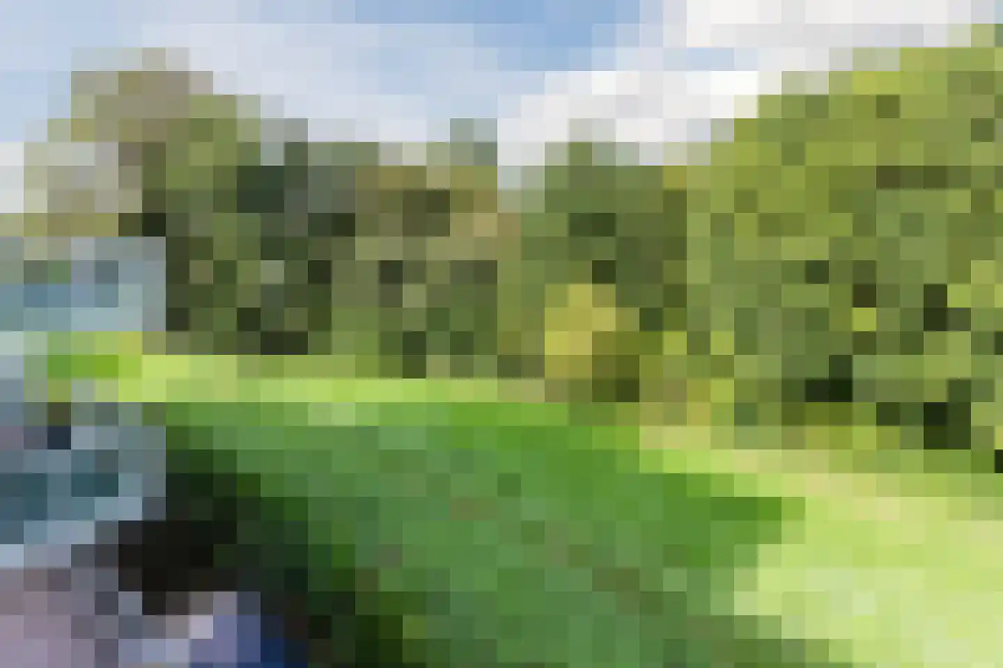 Hofland 51 Mijdrecht thumbnail 8