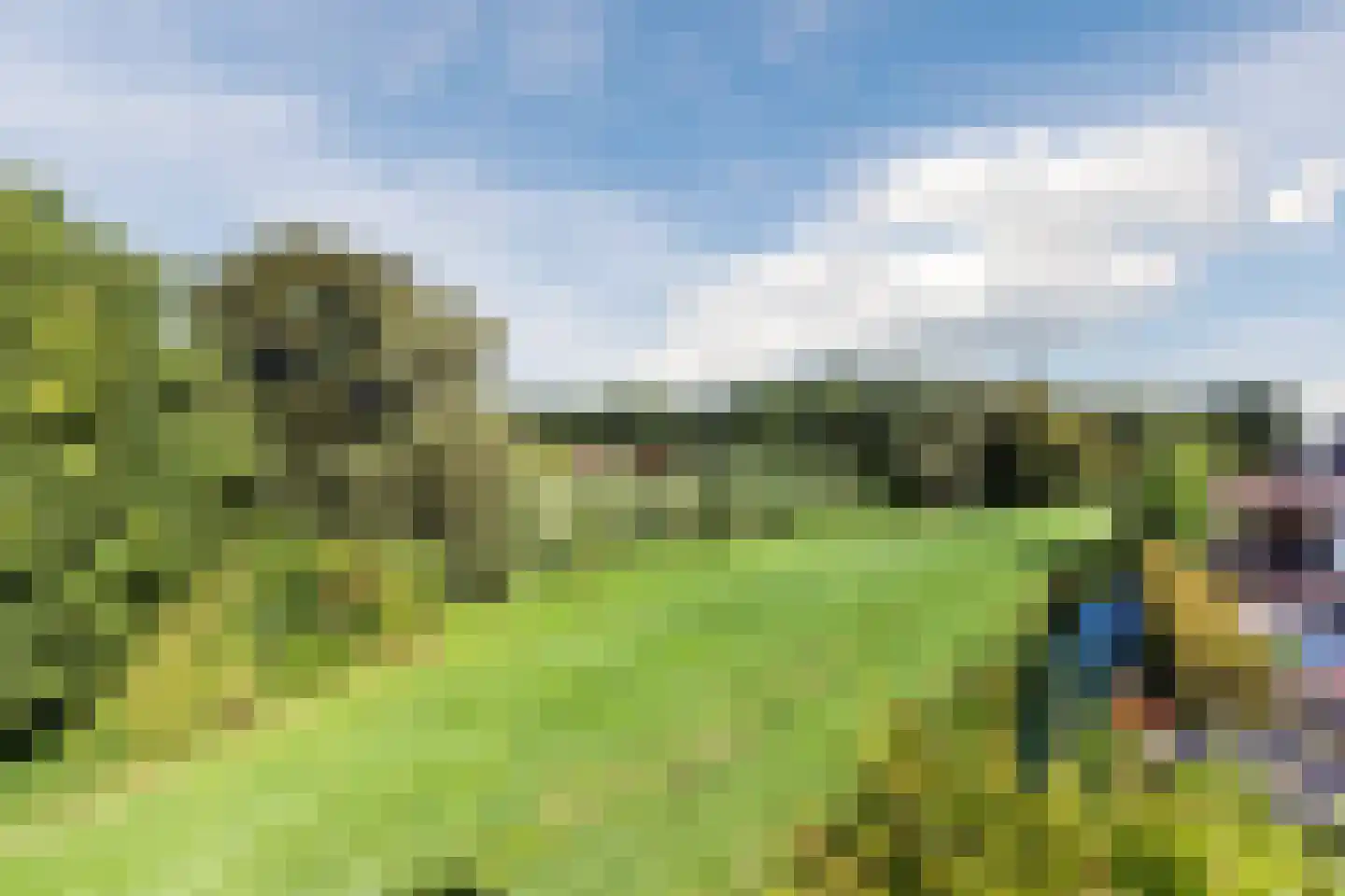 Hofland 51 Mijdrecht thumbnail 9
