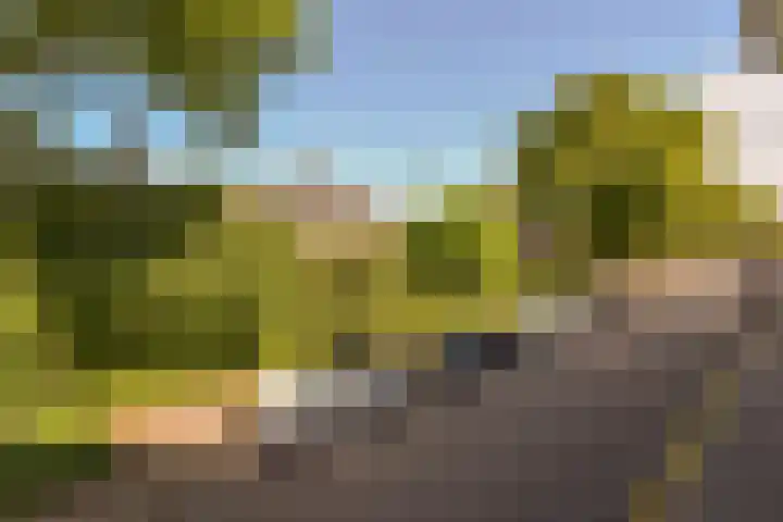 Hofland 8 A Mijdrecht thumbnail 27