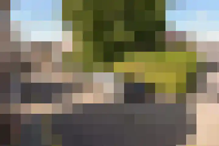 Hofland 8 A Mijdrecht thumbnail 28