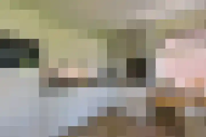 Hofland 8 A Mijdrecht thumbnail 9