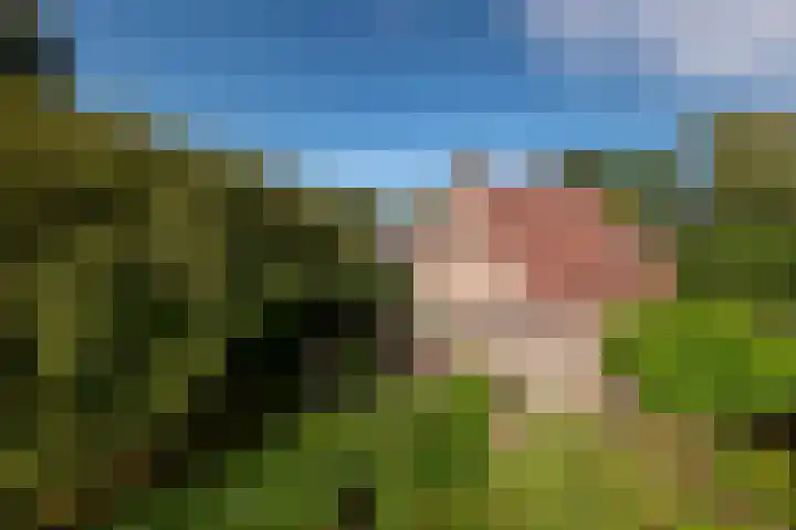 Hoflandendreef 215 Delft thumbnail 8