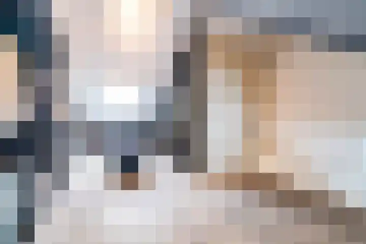 Hoflandendreef 30 Delft thumbnail 33