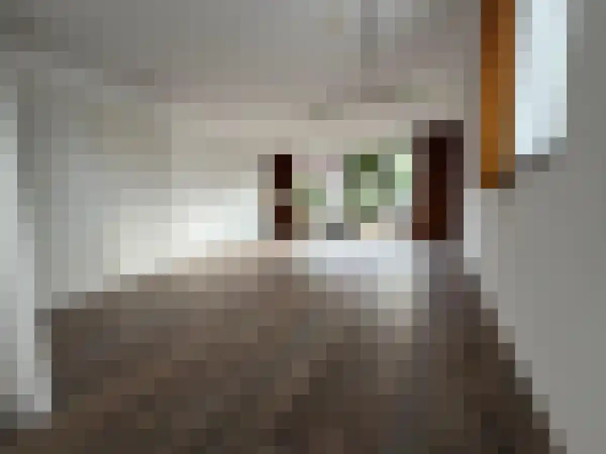 Hoflandendreef 4 Delft thumbnail 4