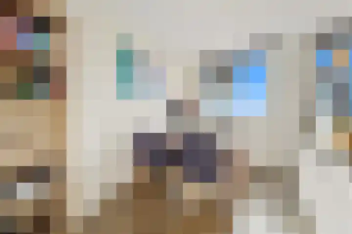 Hoflandendreef 54 Delft thumbnail 21