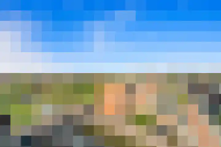 Hoflandendreef 54 Delft thumbnail 32