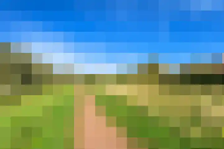Hoflandendreef 54 Delft thumbnail 40