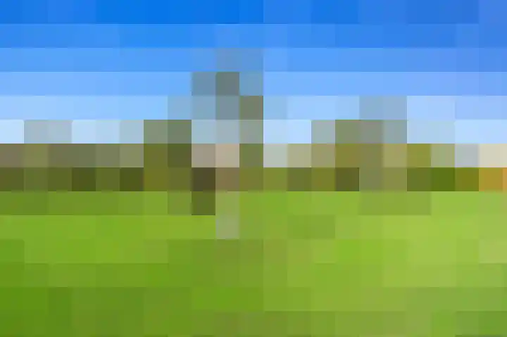 Hoflandendreef 54 Delft thumbnail 41