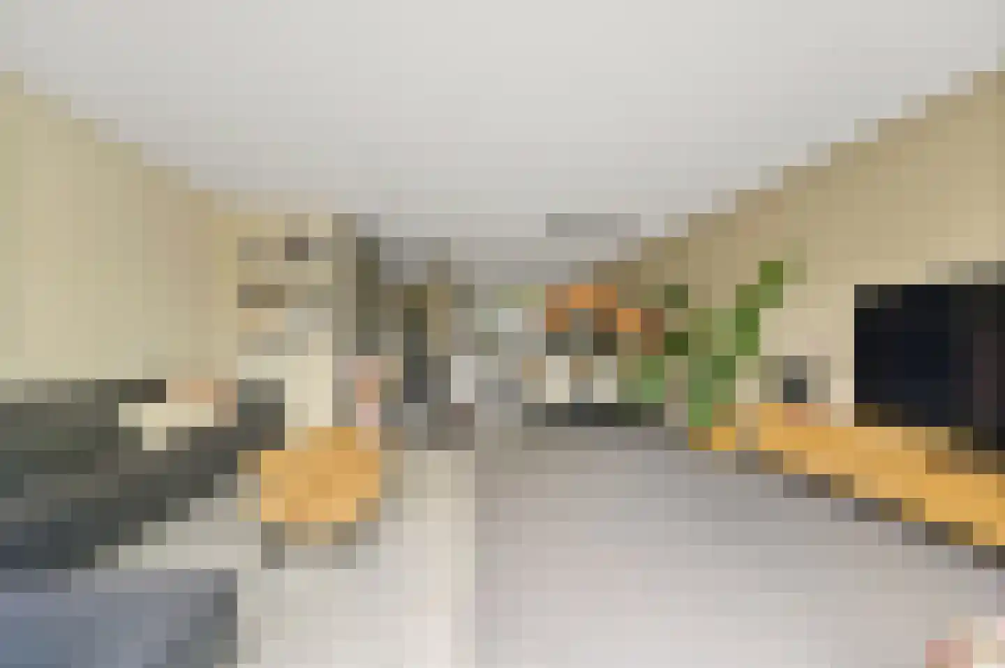 Hoflandendreef 92 Delft thumbnail 12