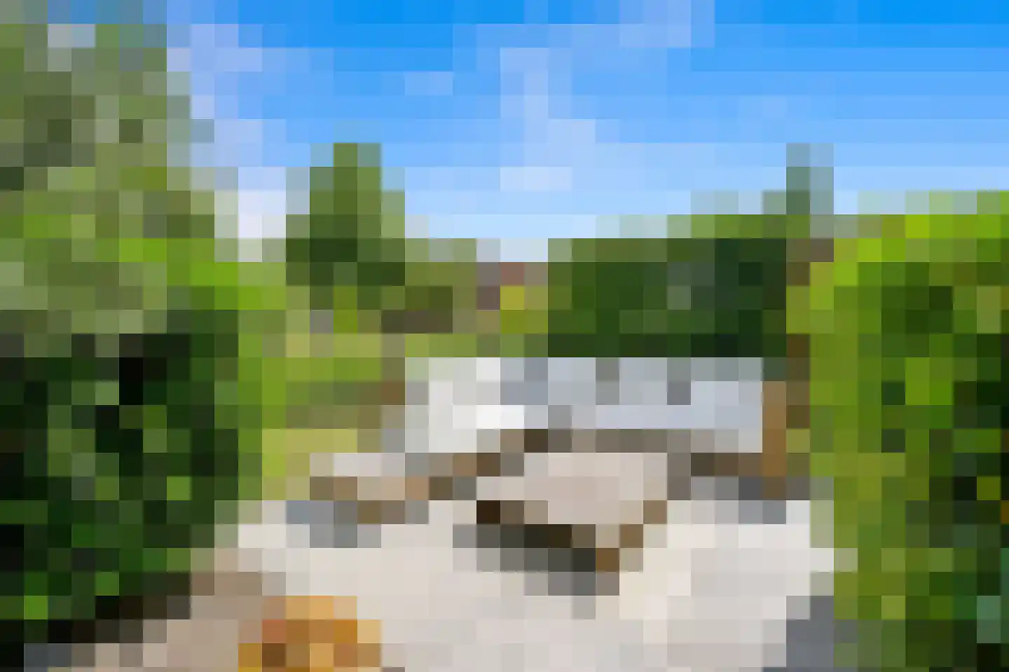 Hoflandendreef 92 Delft thumbnail 20
