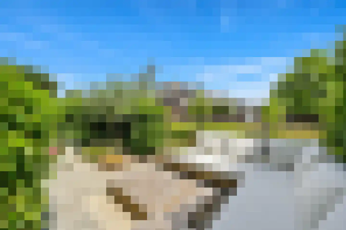 Hoflandendreef 92 Delft thumbnail 21