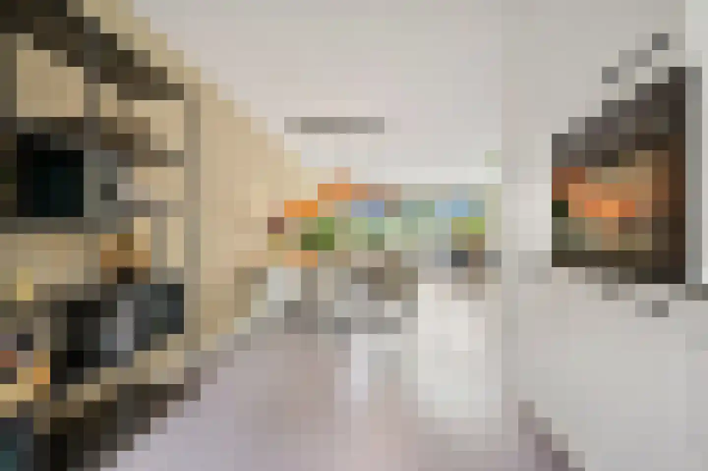 Hoflandendreef 92 Delft thumbnail 30