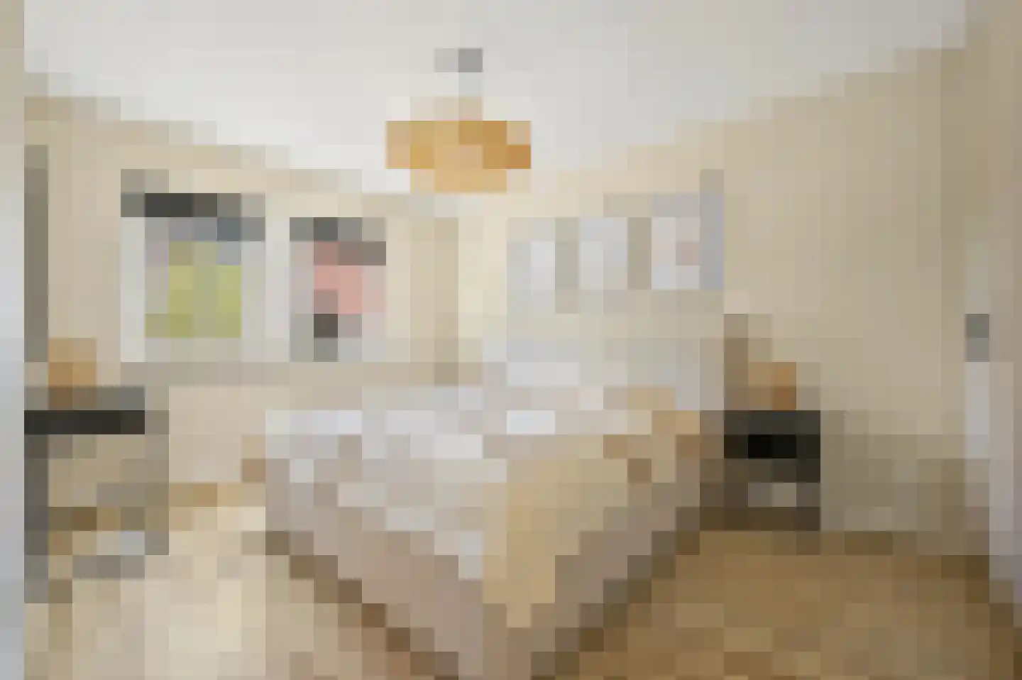 Hoflandendreef 92 Delft thumbnail 35