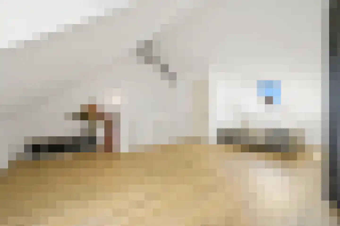 Hoflandendreef 92 Delft thumbnail 50