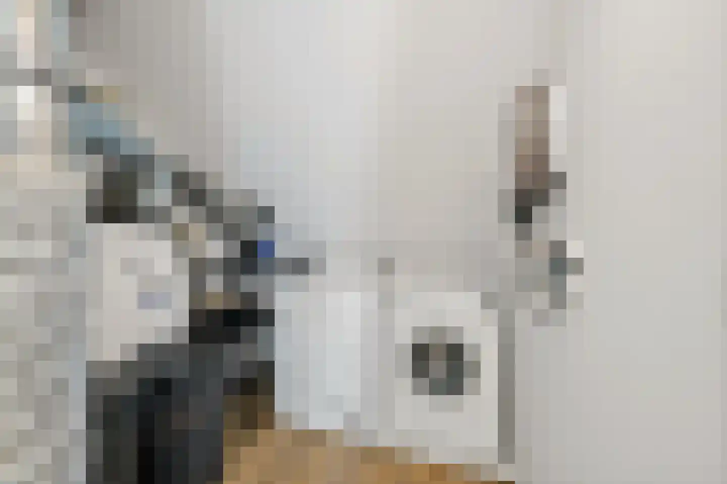 Hoflandendreef 92 Delft thumbnail 51