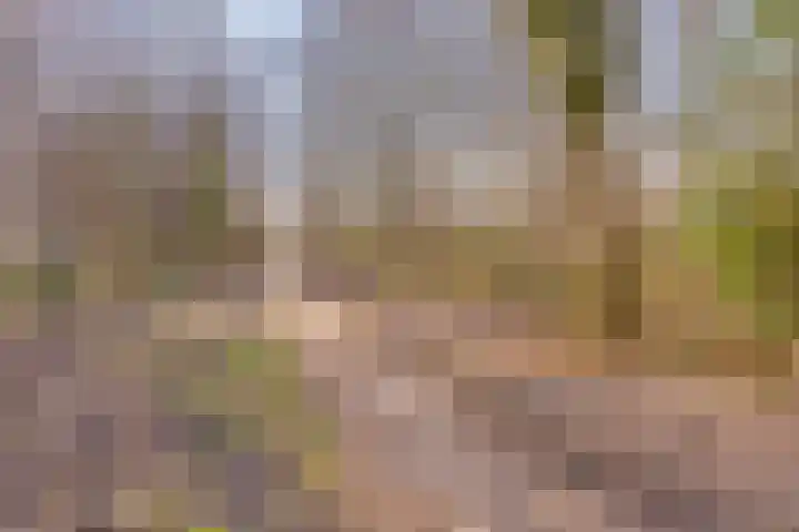 Hoflanderweg 200 Beverwijk thumbnail 36