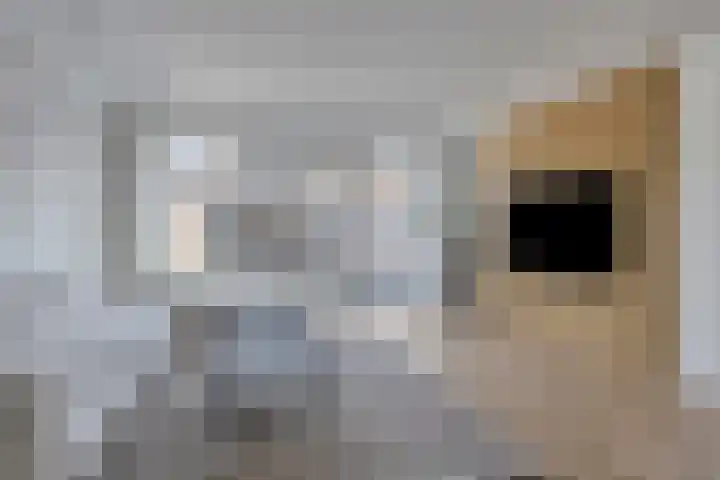 Hoflanderweg 200 Beverwijk thumbnail 4