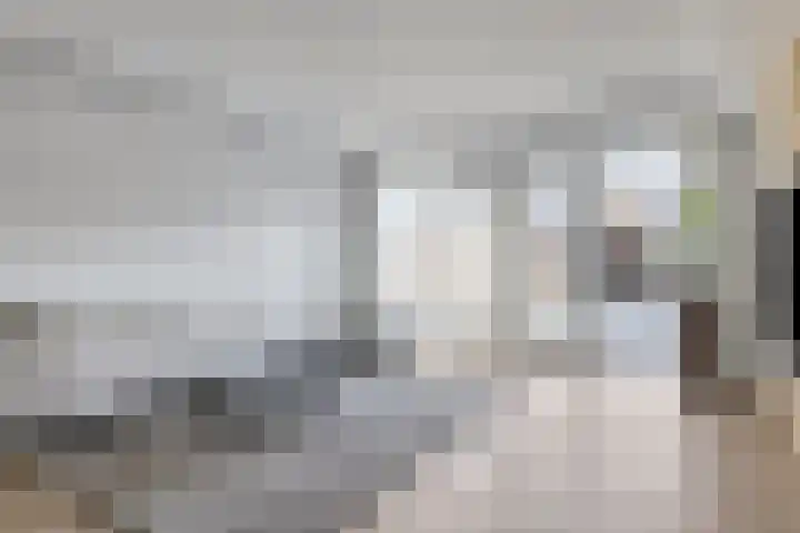 Hoflanderweg 200 Beverwijk thumbnail 5