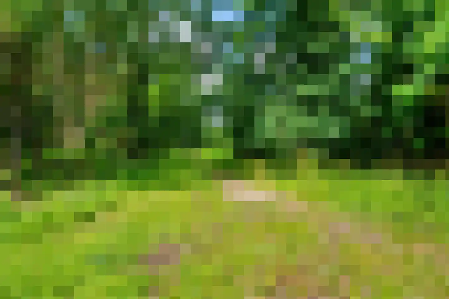 Hoflanderweg 85 Beverwijk thumbnail 48