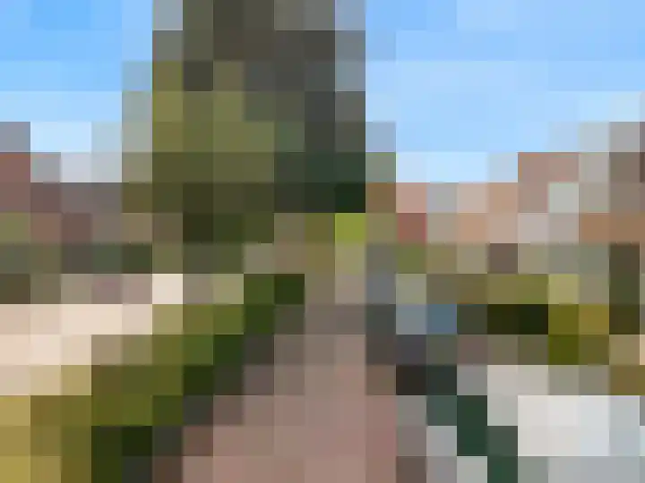 Hoflanderweg 99 Beverwijk thumbnail 36