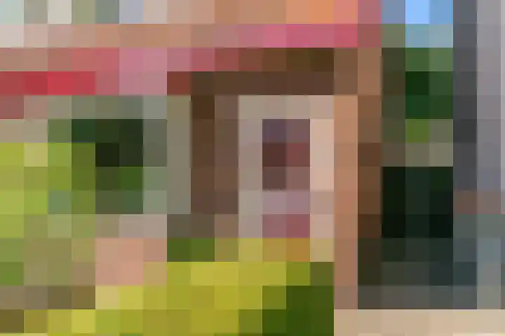 Hoflanderweg 99 Beverwijk thumbnail 5