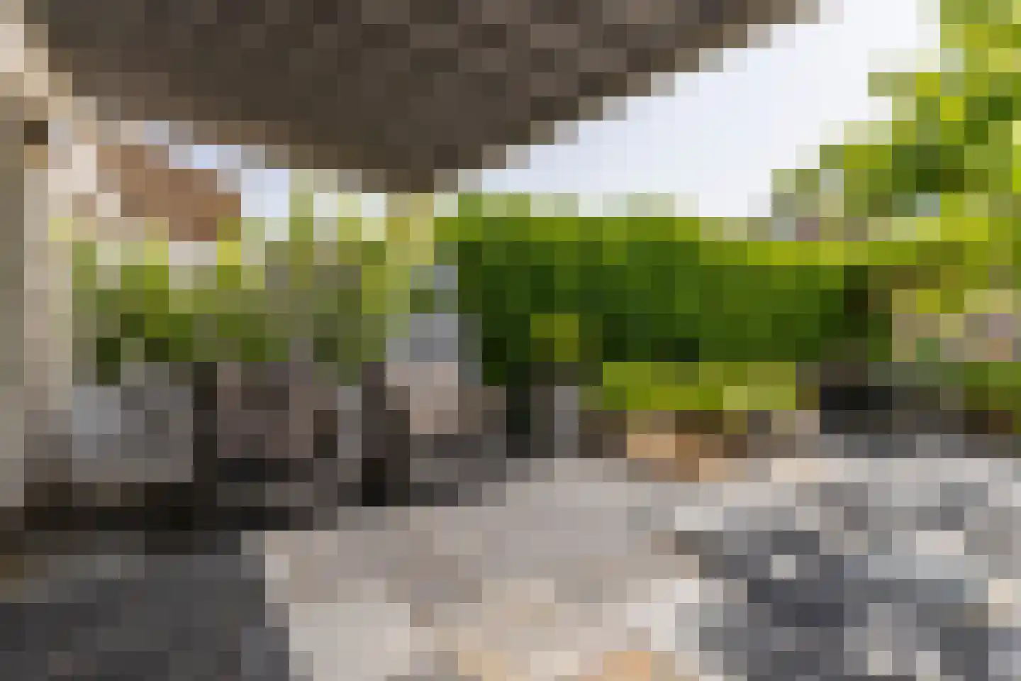 Hoflandstraat 10 Naaldwijk thumbnail 12
