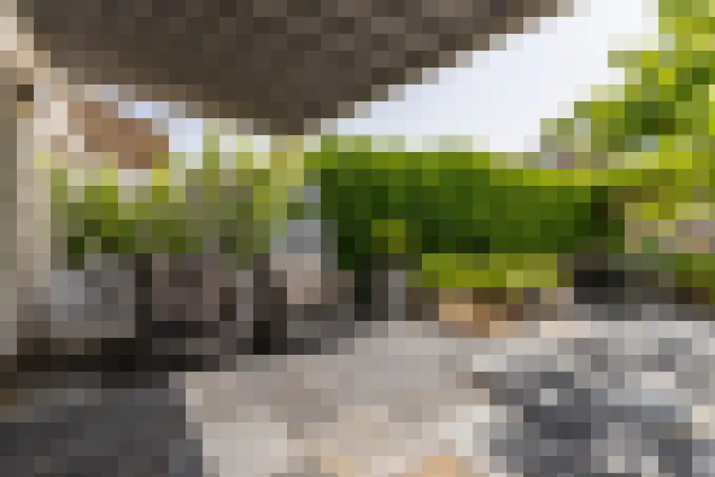 Hoflandstraat 10 Naaldwijk thumbnail 15