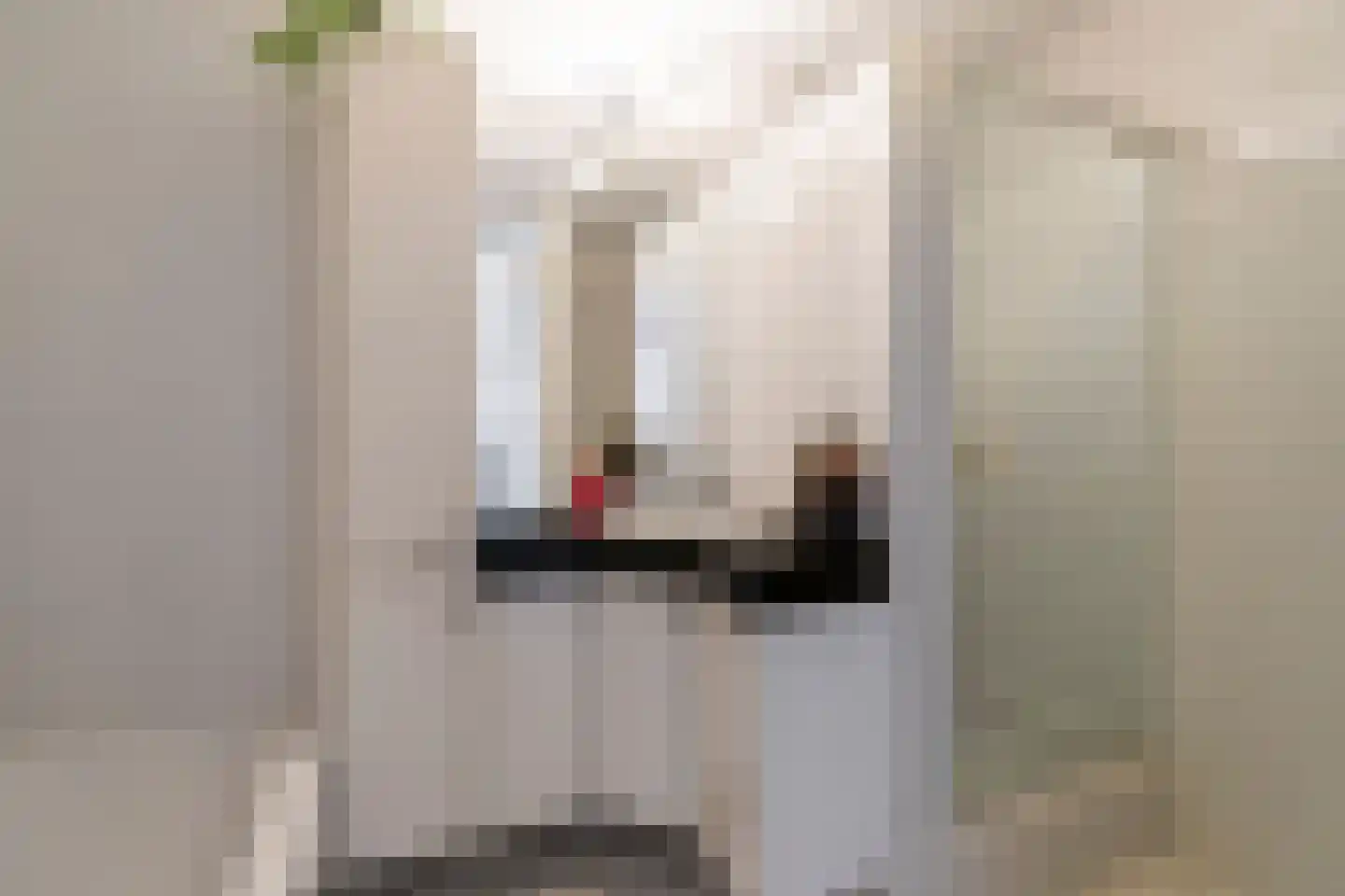 Hoflandstraat 10 Naaldwijk thumbnail 30
