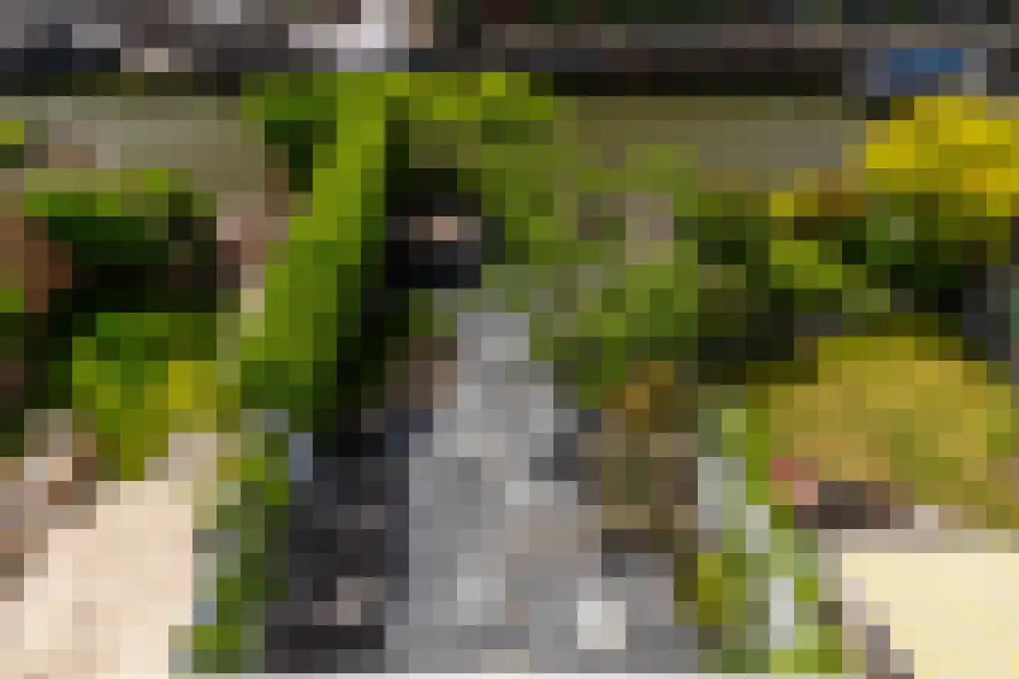 Hoflandstraat 10 Naaldwijk thumbnail 33