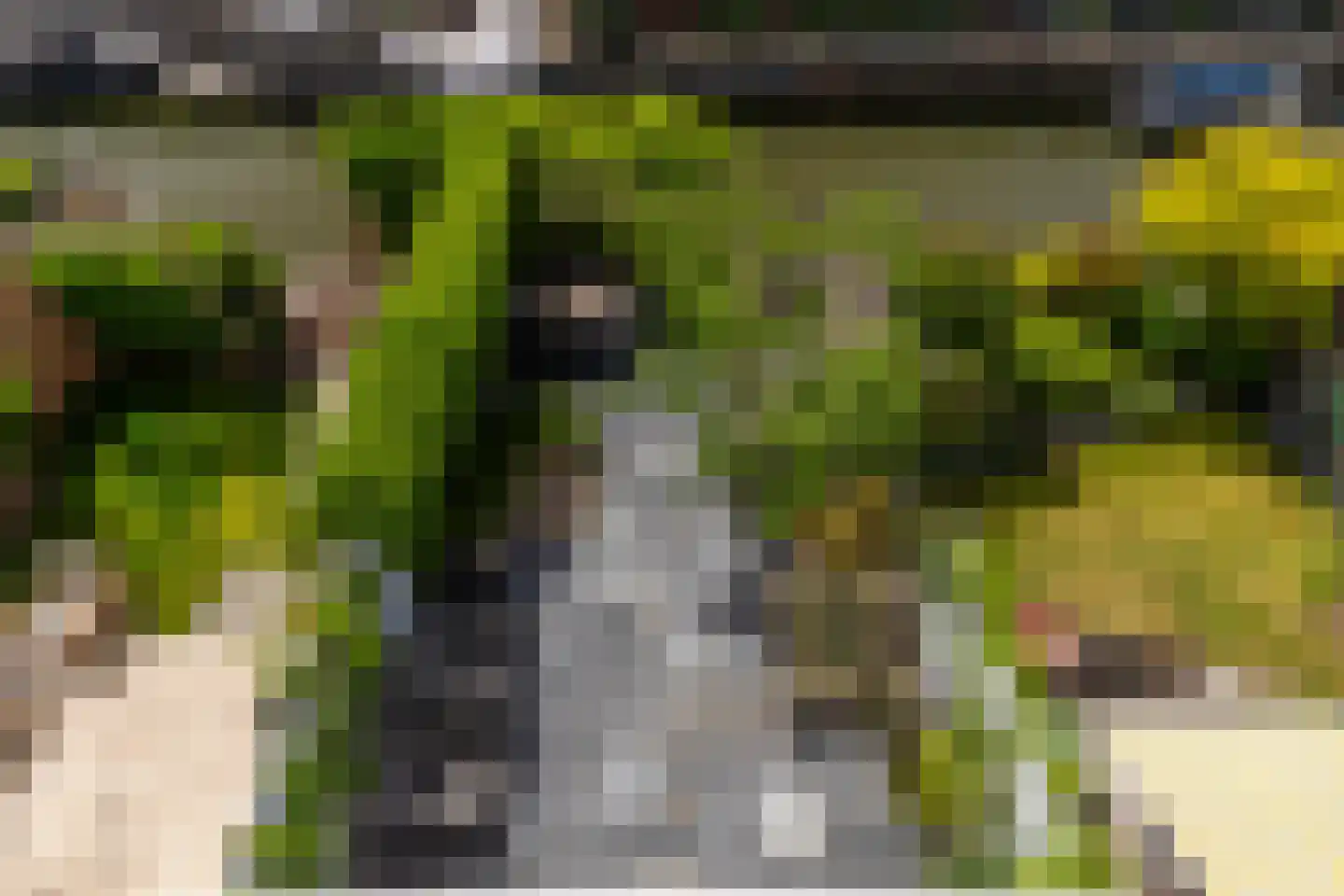 Hoflandstraat 10 Naaldwijk thumbnail 35