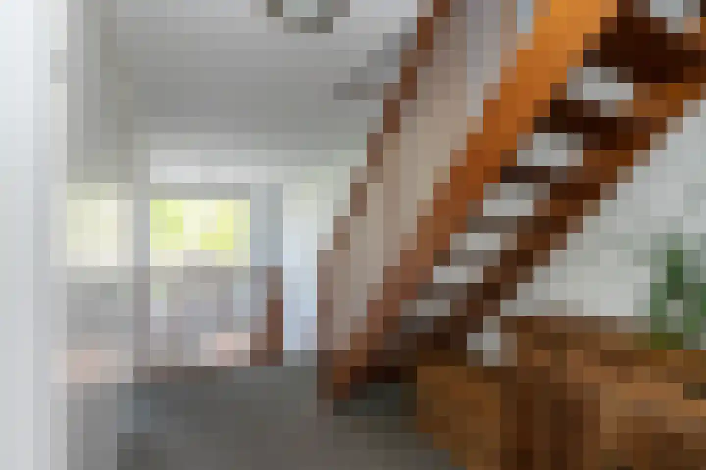 Hoflandstraat 10 Naaldwijk thumbnail 44
