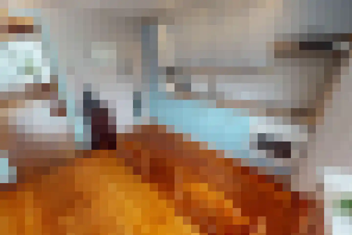 Hoflandstraat 11 Grootebroek thumbnail 23