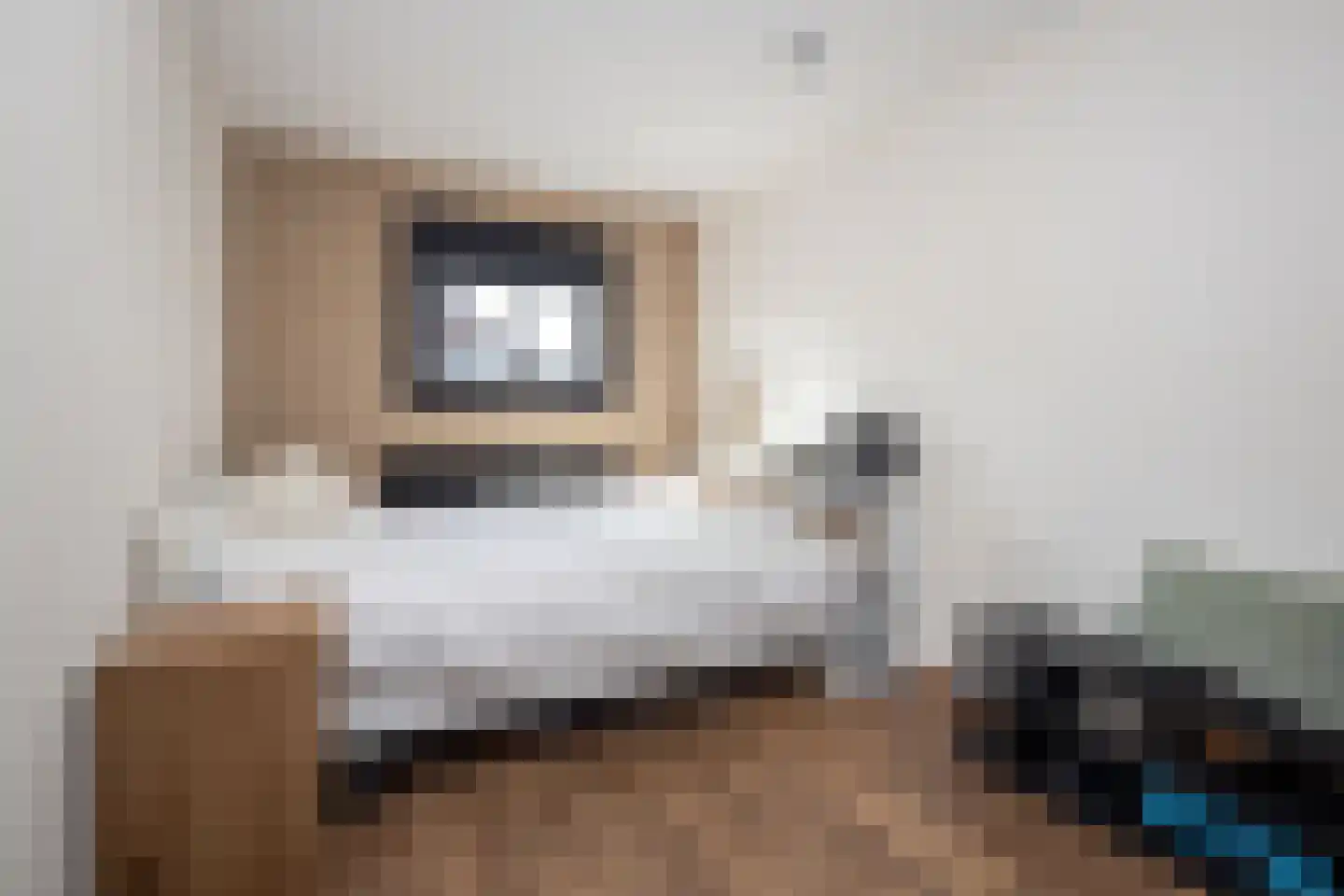 Hoflandstraat 12 Grootebroek thumbnail 27