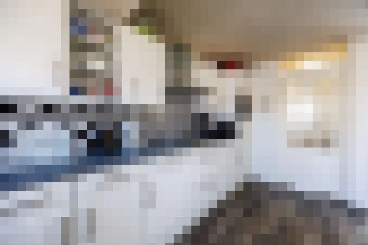 Hoflandstraat 35 Pijnacker thumbnail 12
