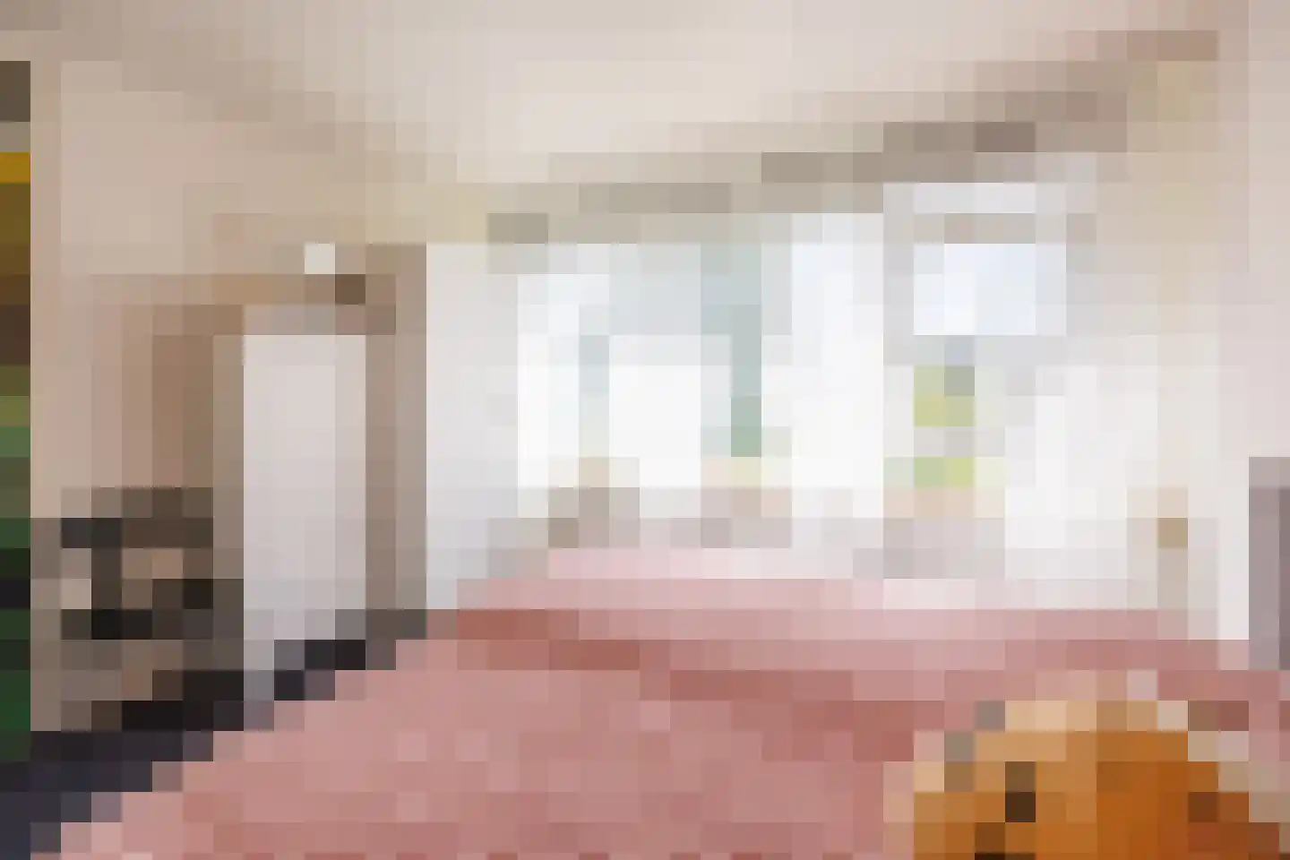 Hoflandstraat 35 Pijnacker thumbnail 20